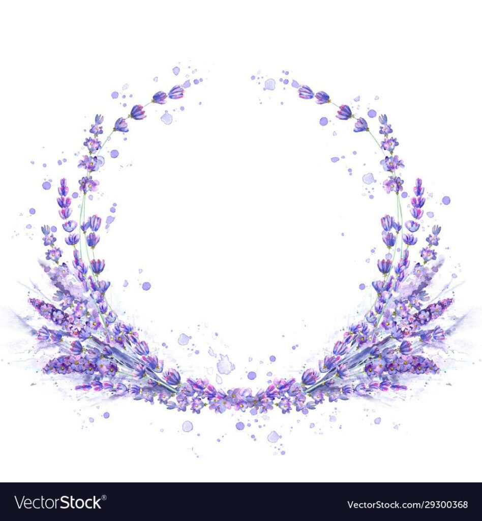 Lavender Flowers Purple Watercolor Round Frame Vector On Vectorstock Images