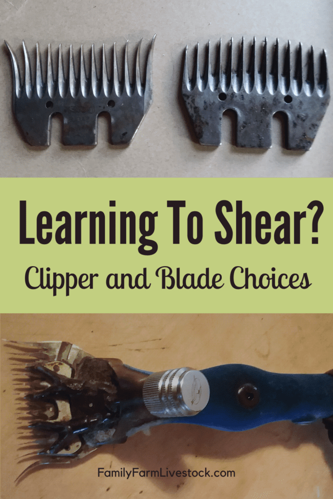 Learning To Shear?