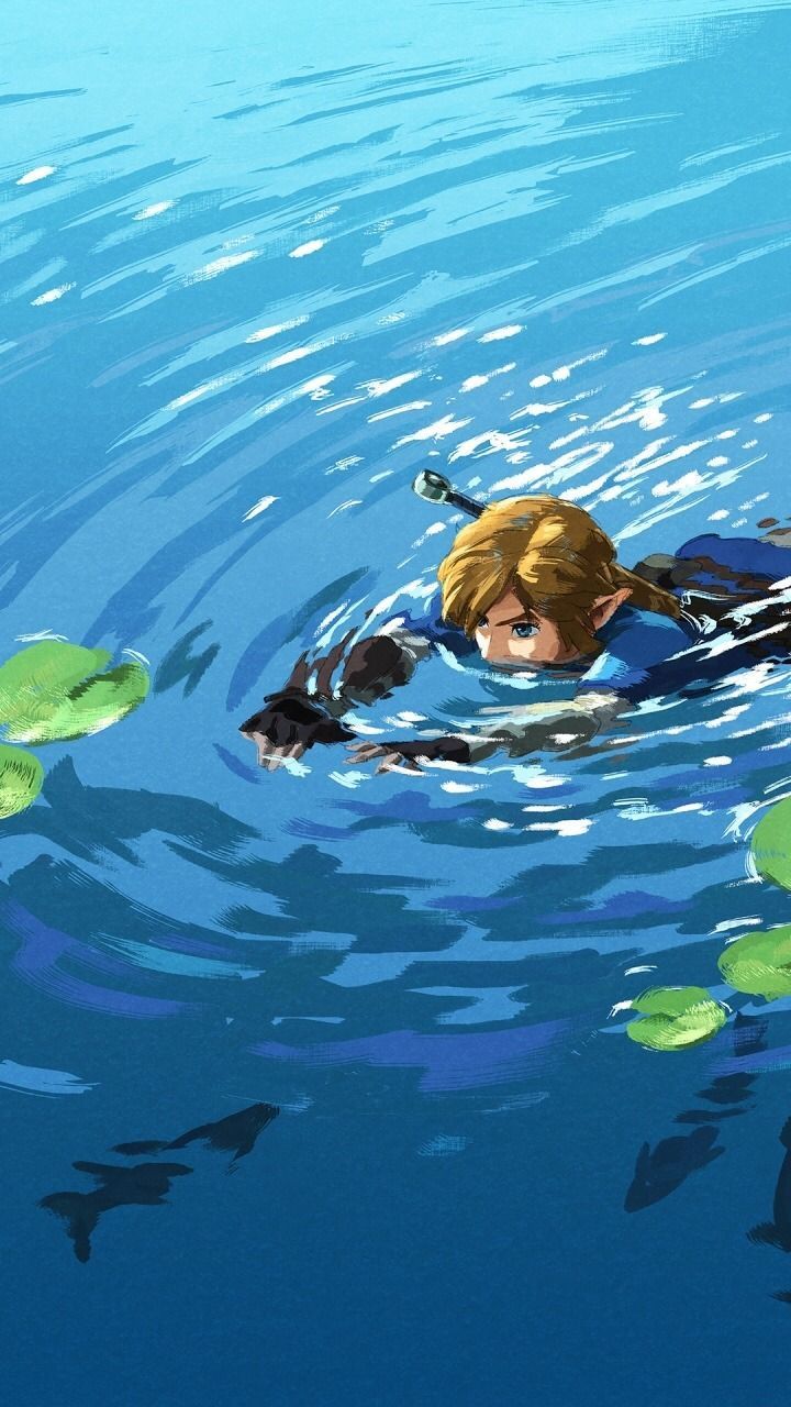 Legend of Zelda Breath of the Wild Link smartphone wallpaper by Nintendo