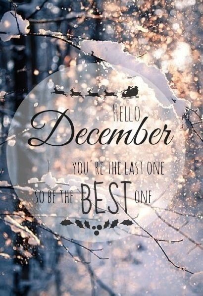 [Life Style] • Welcome December •