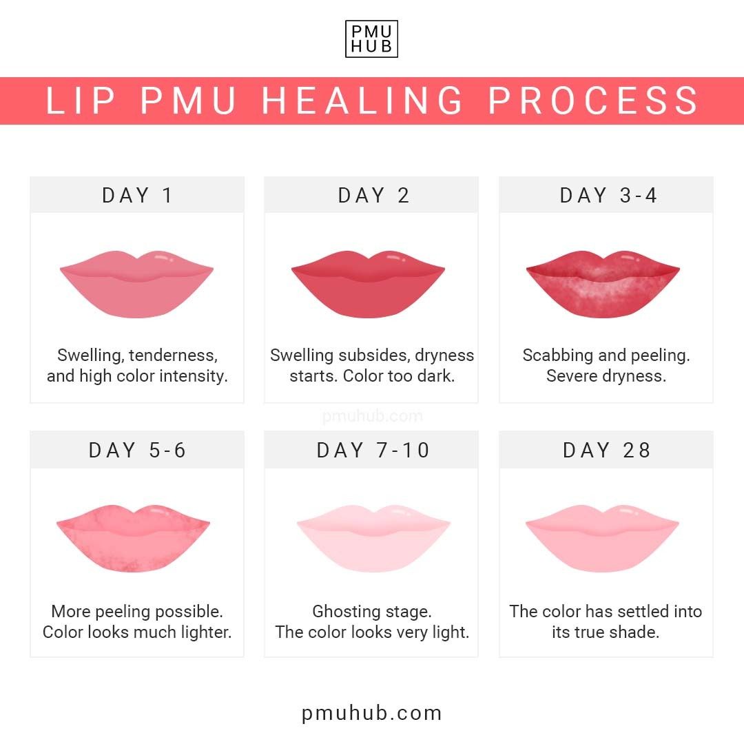 Lip Blush Healing Process - Day by Day Timeline and Stages