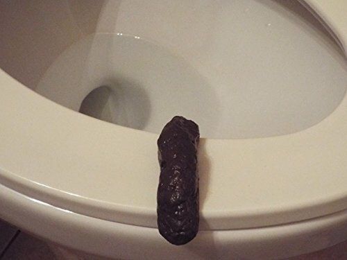 Loftus New Hilarious Rubber 4 Inch Fake Human Poop Crap Turd - Funny Gross Prank