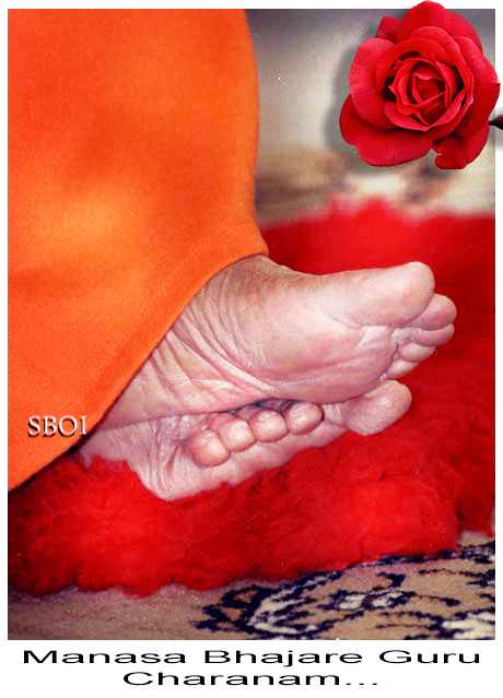 Lotus Feet Of Sri Sathya Sai Baba 