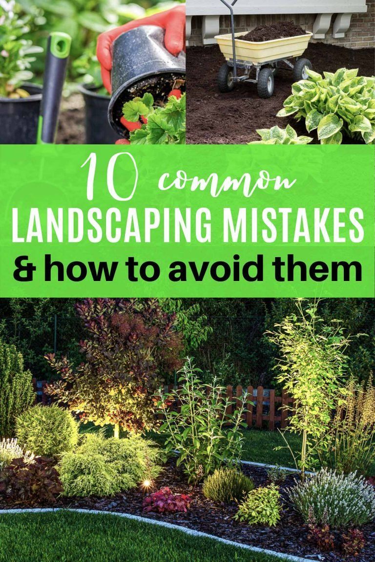 Landscaping Mistakes: Avoid These 10 Common Issues For Your Best Garden Ever - G