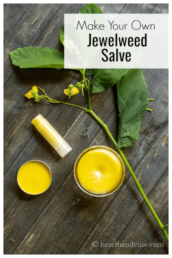Making Jewelweed Salve To Help With Poison Ivy And Other