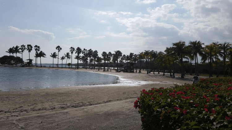 Matheson Hammock Park (Miami) - All You Need To Know Before You Go