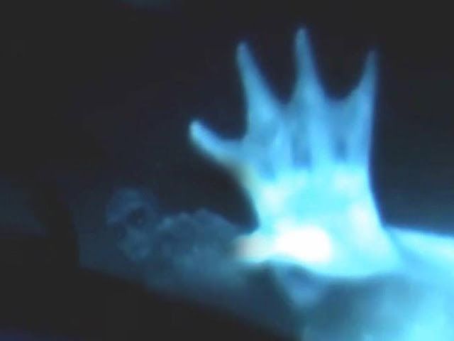 Mermaid captured by diving vessel camera? 'New Evidence' - May 29, 2013