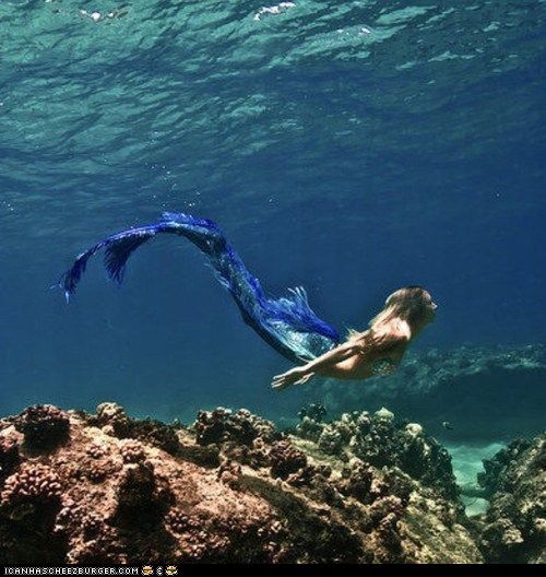 Mermaids Are Hipsters Swimswag Page 5 Images