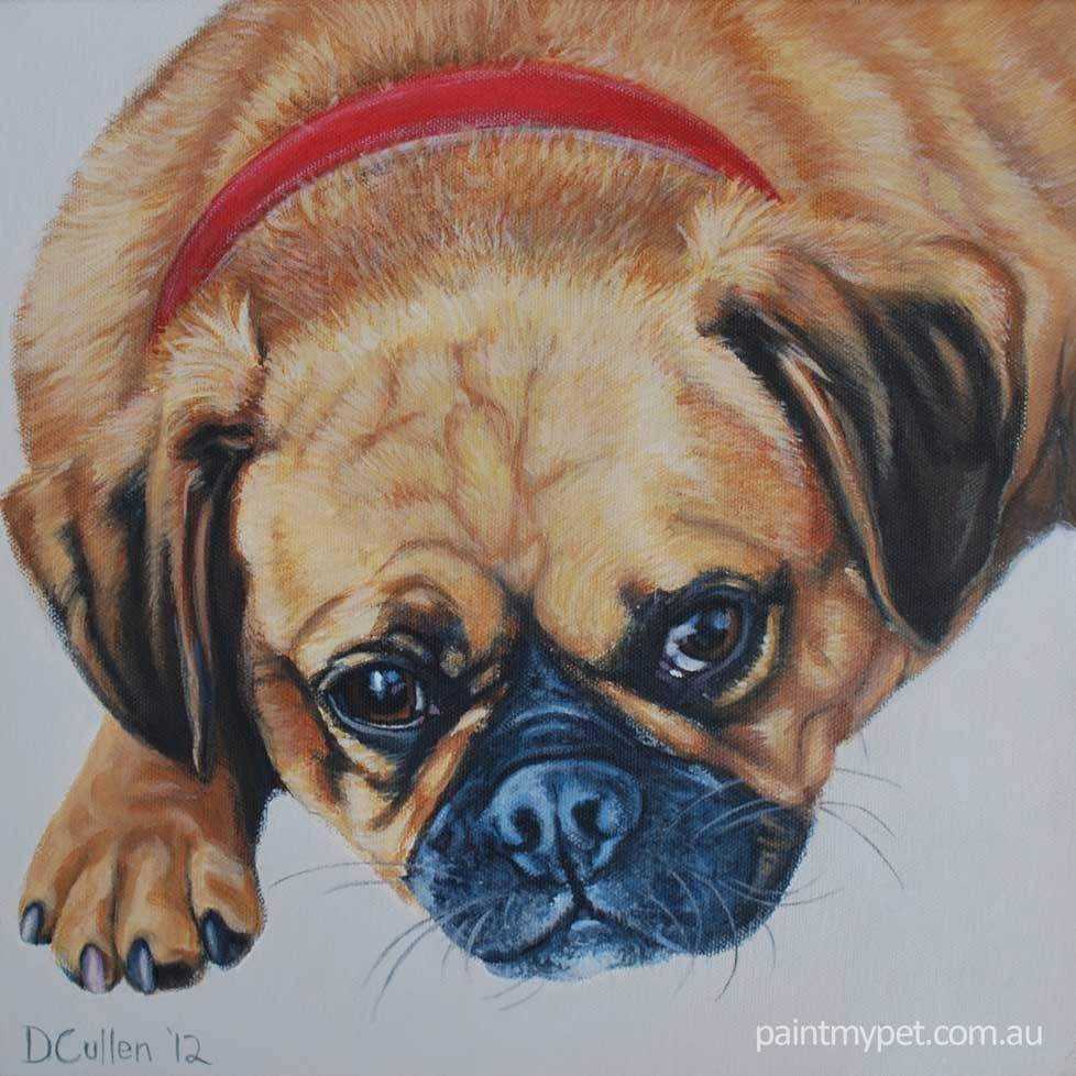 Mia Pugalier Dog Portrait Paintmypet By Deborah Cullen