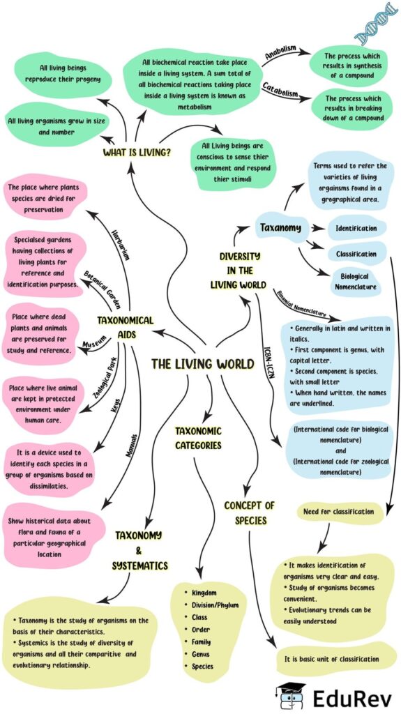 Mind Map: The Living World | Neet Foundation - Class 9