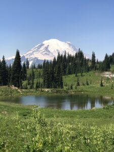 Mt Rainier , your best day trip option HD Wallpaper