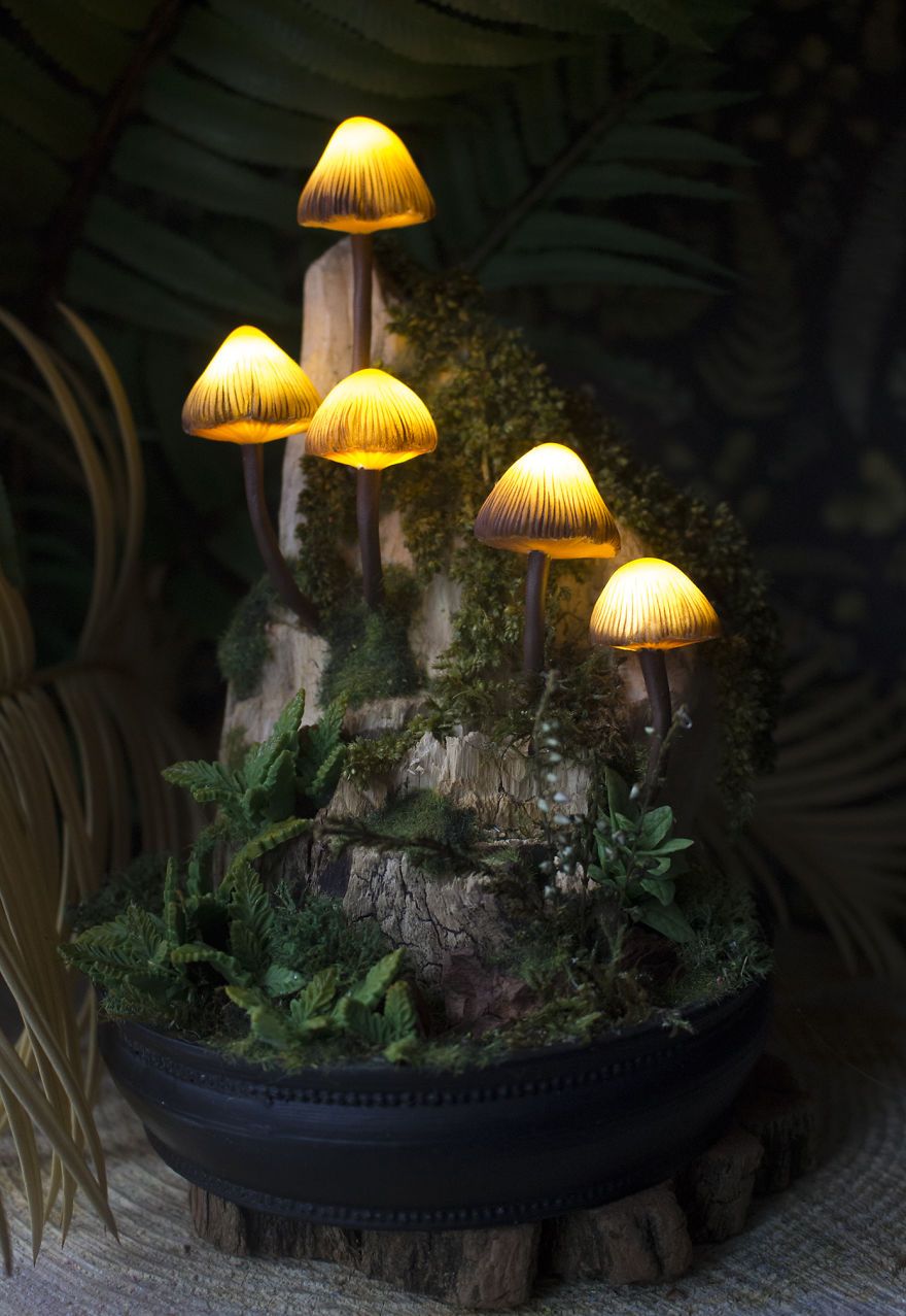 Mycena Mushrooms On A Piece Of Driftwood Night Light HD Wallpaper