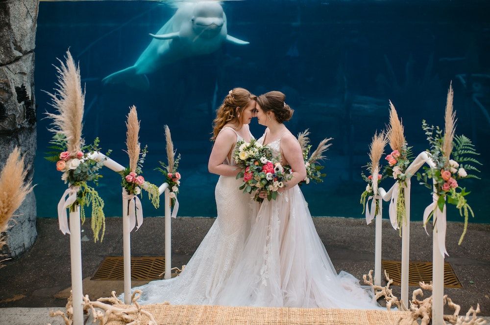Mystic Aquarium Wedding Venue Mystic CT 06355