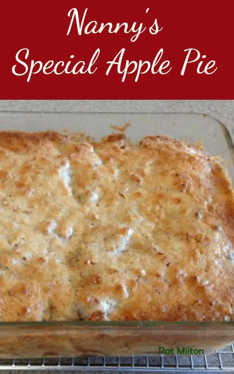 Nanny's Special Apple Pie This apple pie is an old family recipe and always very