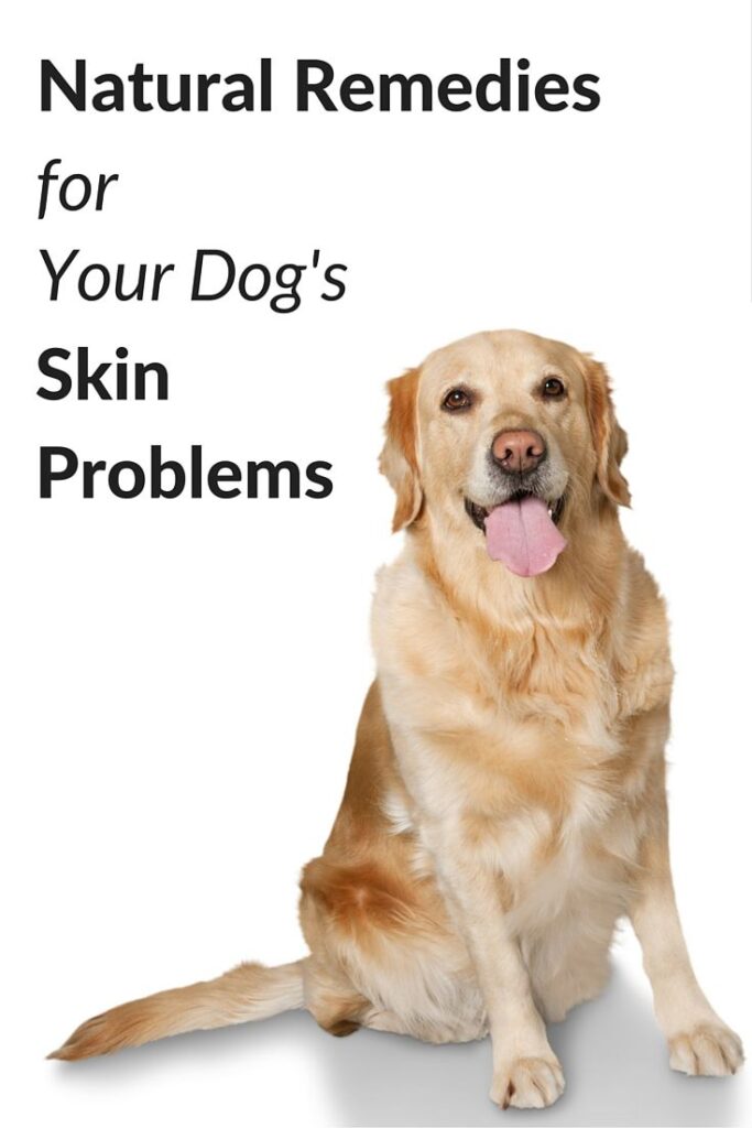 Natural Remedies For Dog Skin Problems Images