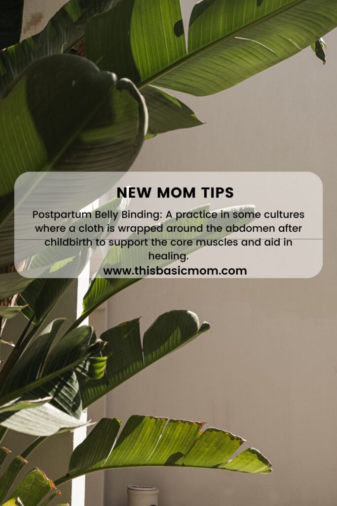 New Mom Tips This Basic Mom Images