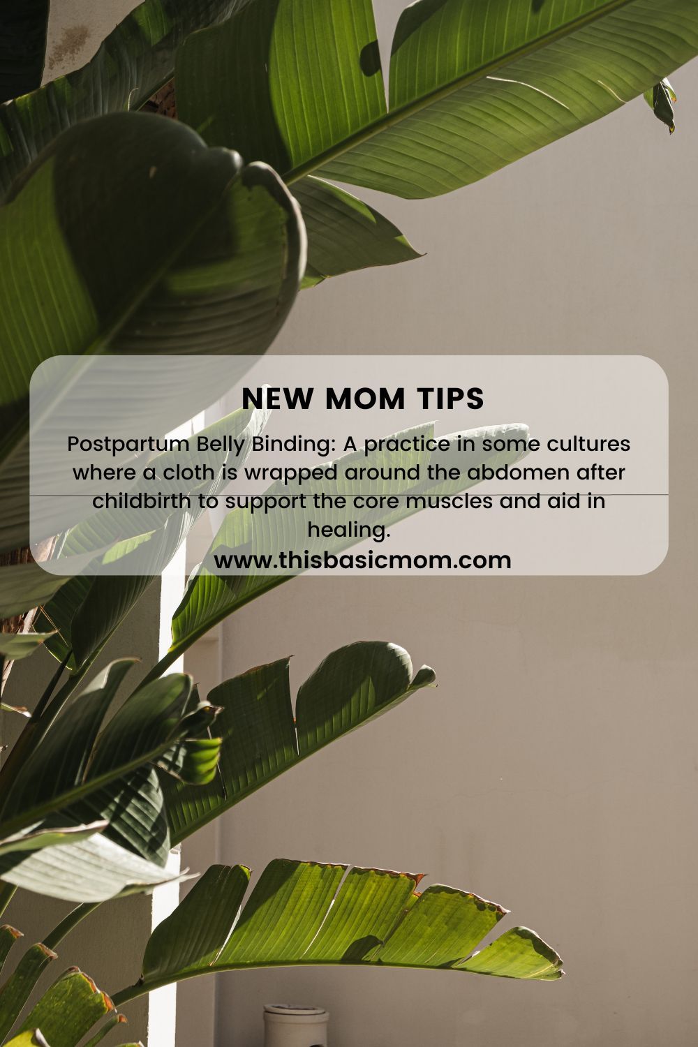 New Mom Tips , THIS BASIC MOM Images