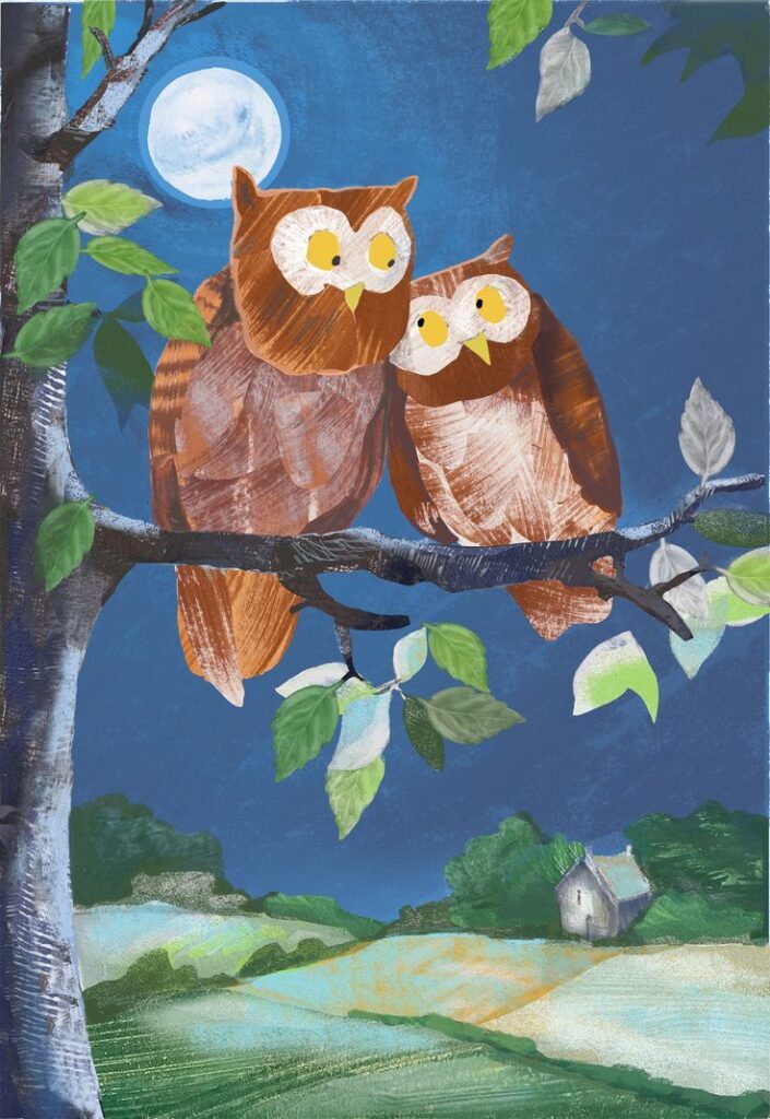 Night Owl Couple Childrens Illustrators Childrens Books Images
