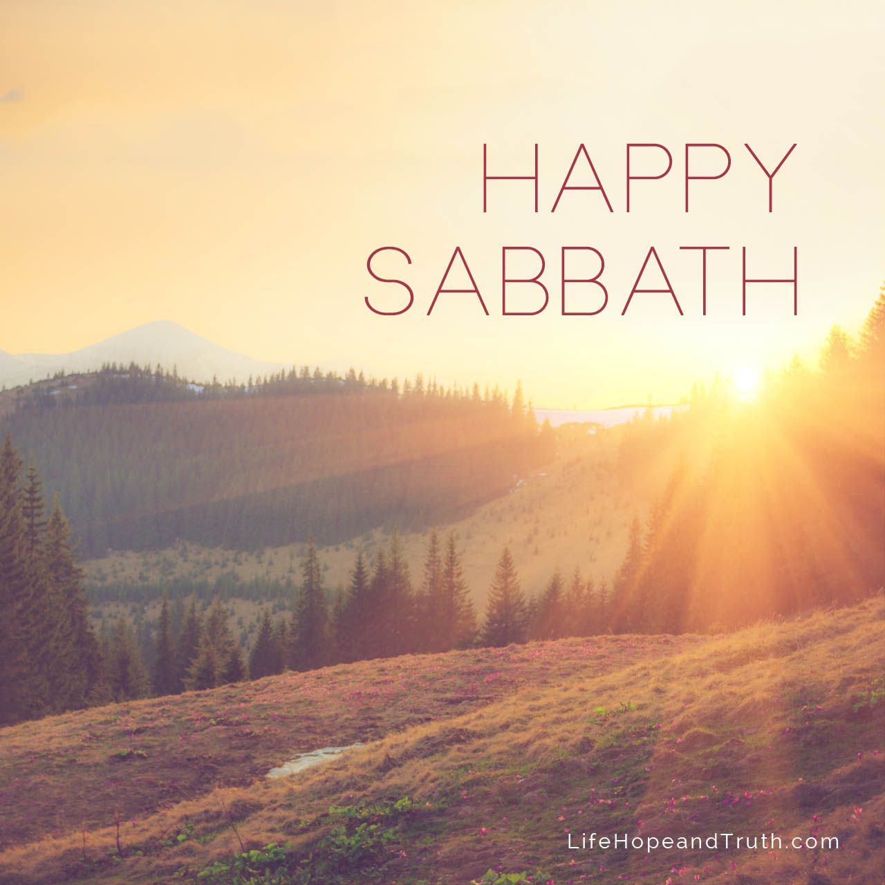 Photos On Happy Sabbath DA5