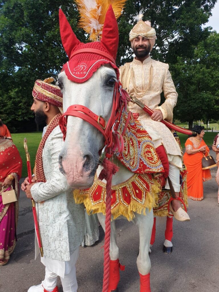 Our Wedding Horse Out Today For The Wedding Of Govinda