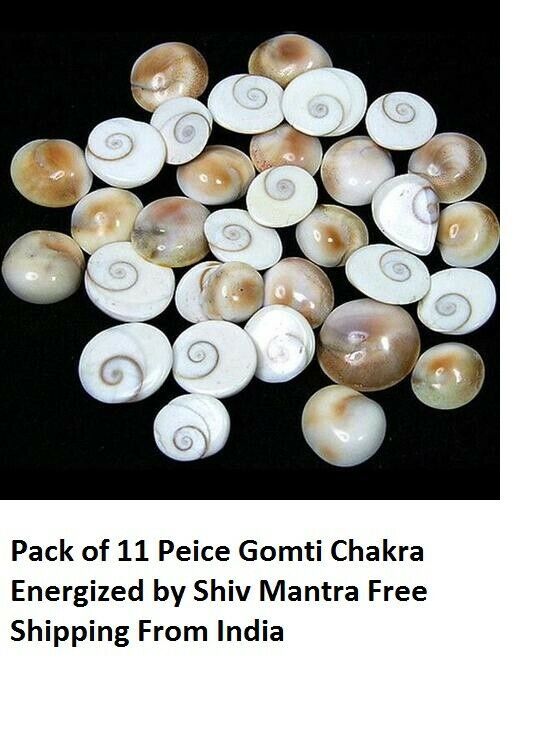 Pack of 11 Gomti / Gomati Chakra Energized Yantra For Vishnu Laxmi Pooja India  