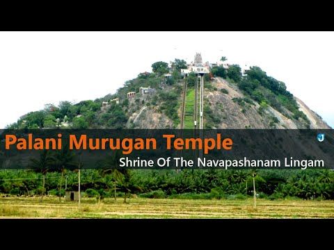 Palani Murugan Temple Shrine Of The Navapashanam Lingam