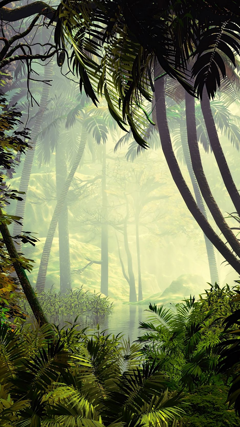 Palm trees, trees, jungle, fog HD Wallpaper