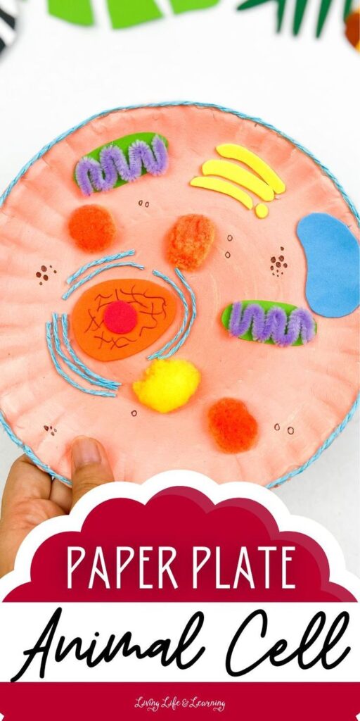 Paper Plate Animal Cell Images