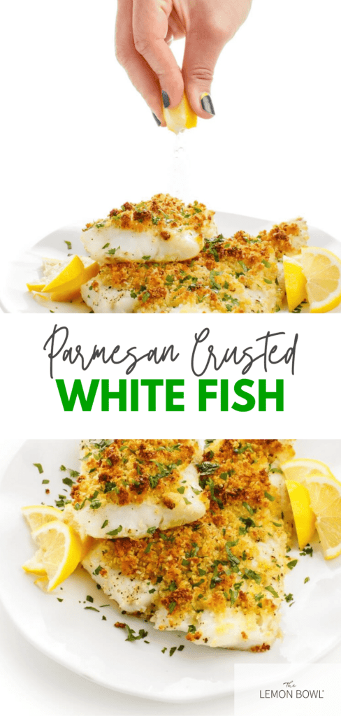 Parmesan Crusted Baked White Fish The Lemon Bowl® Images