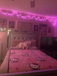 Pink room HD Wallpaper
