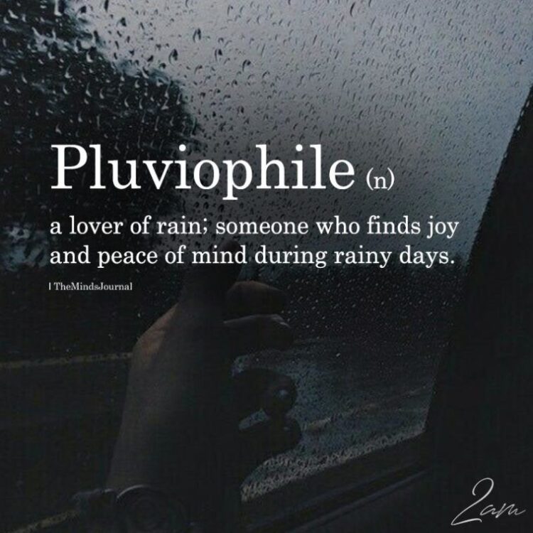 Pluviophile A Lover Of Rain Images