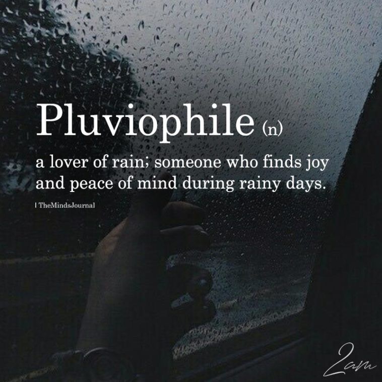 Pluviophile A Lover Of Rain HD Wallpaper