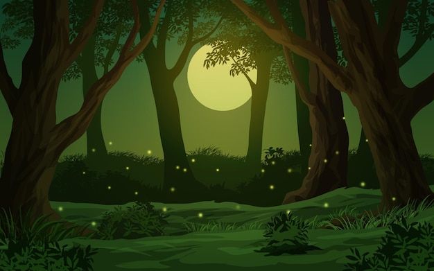 Premium Vector | Cartoon Forest Night Scene With Full Moon And Firefly