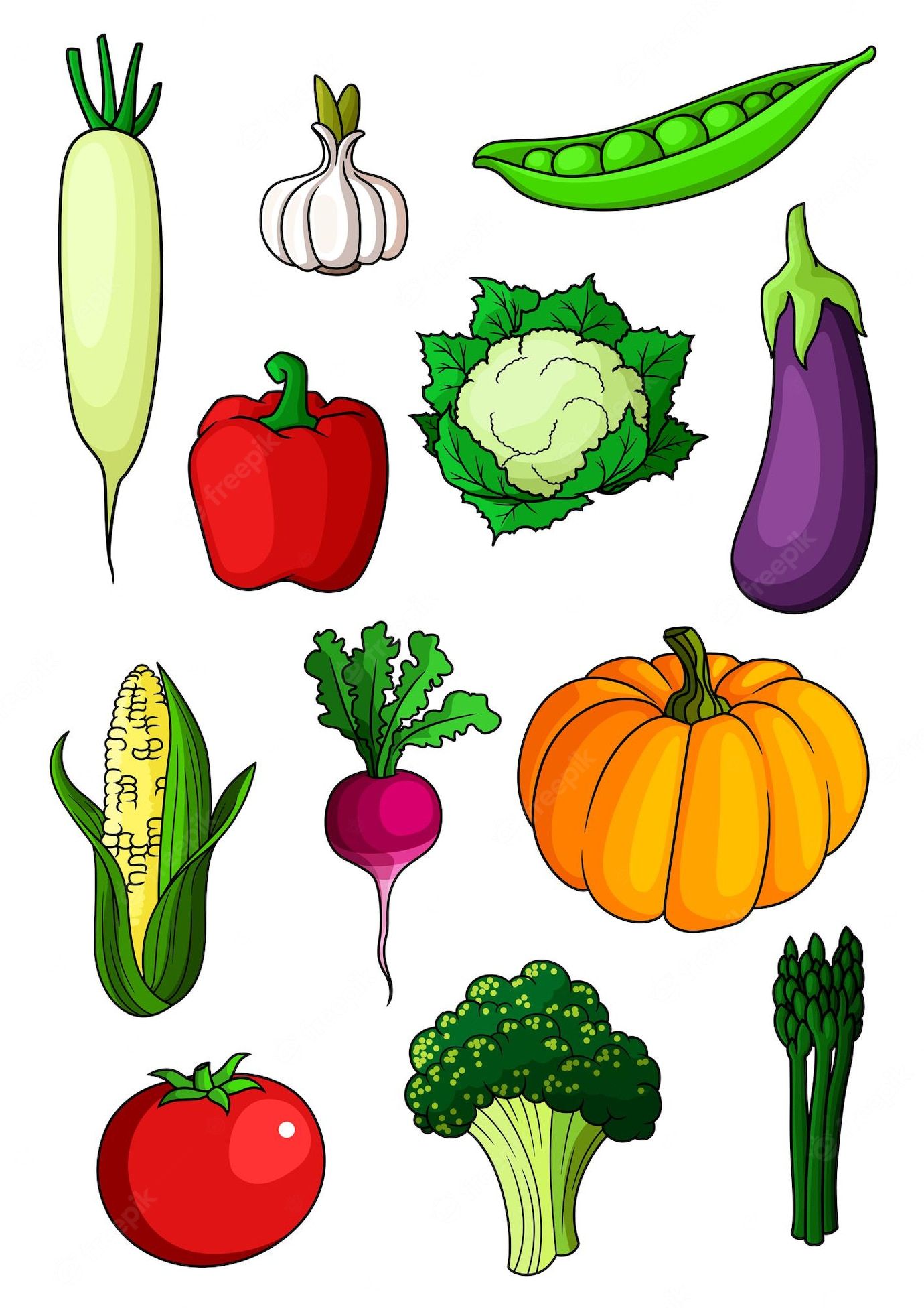 Premium Vector | Colorful cartoon healthy vegetables