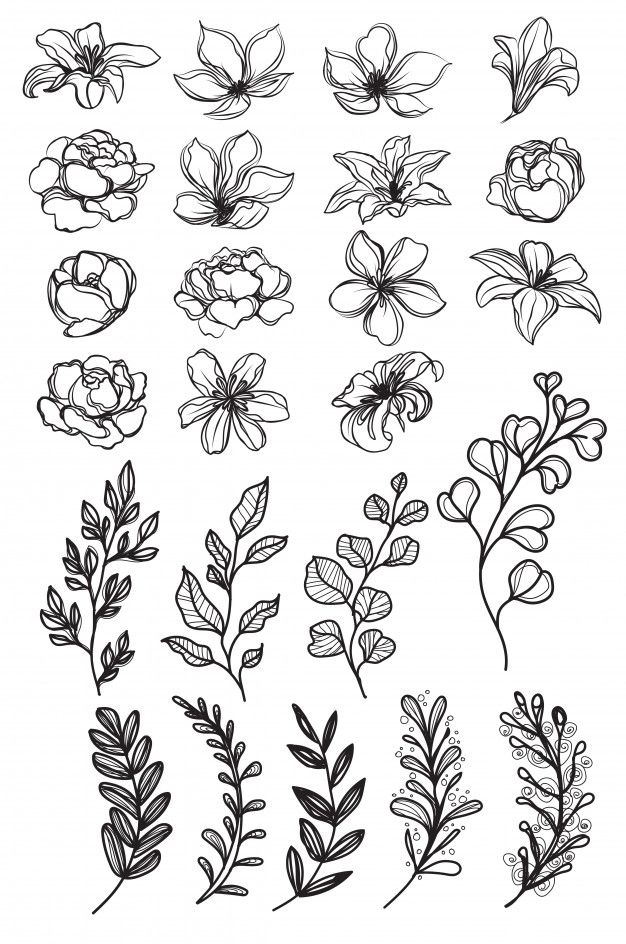 Premium Vector Flowers Hand Drawing And Sketch Black And