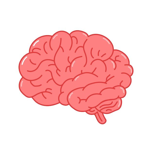 Premium Vector | Human brain organ.vector hand drawn doodle line style cartoon c