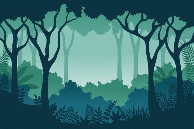 Premium Vector Jungle Landscape Illustration Images