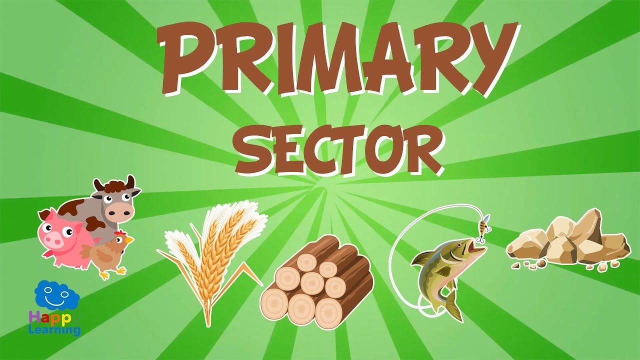 Primary Sector : Jobs and their classification | Educational Videos