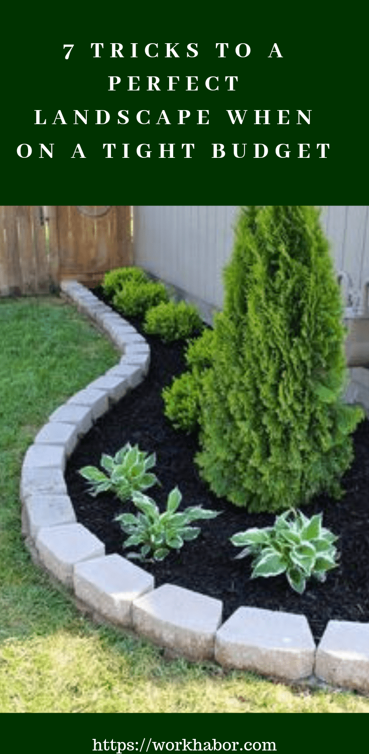 Pro Tips for Landscaping on a Budget – Workhabor