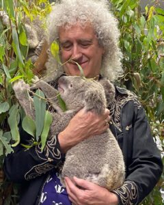 Queen’s Brian May Shares ‘Precious Moment’ with Koala Before Australia Bushfire  Images