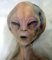 Real Alien 2 Images