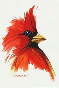 Red Cardinal Images