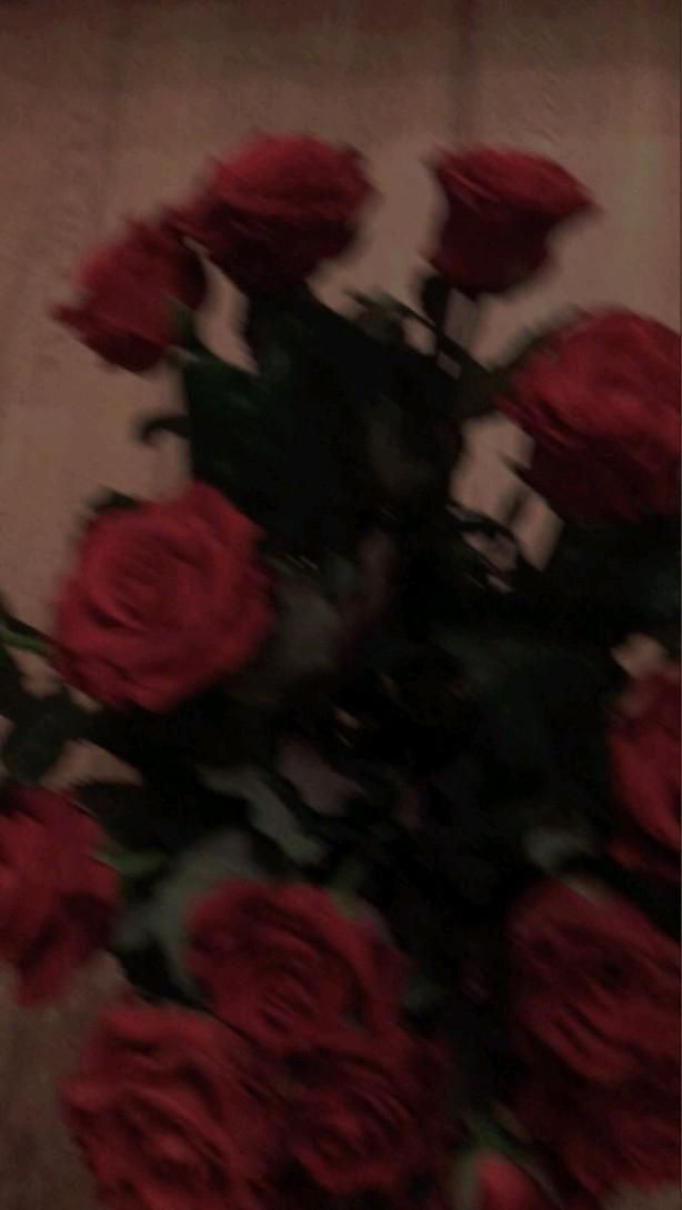 Red aesthetic | Dark red wallpaper, Red roses wallpaper, Flower aesthetic