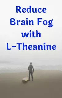 Reduce Anxiety and Brain Fog with L-Theanine