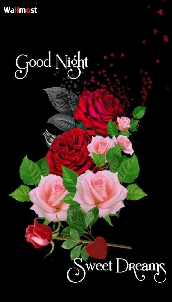 Rose Good Night Images 5 Wpp1636892525671