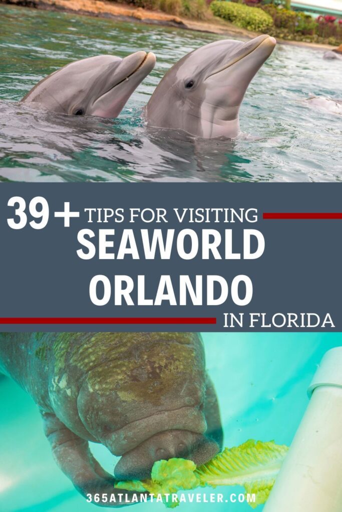 Seaworld Orlando: 39+ Secrets For An Amazing Visit