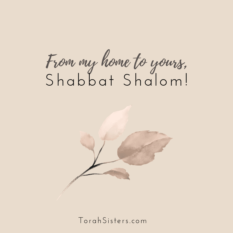 Sabbath Memes - Torah Sisters