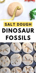 Salt Dough Dinosaur Fossils Kids Craft HD Wallpaper