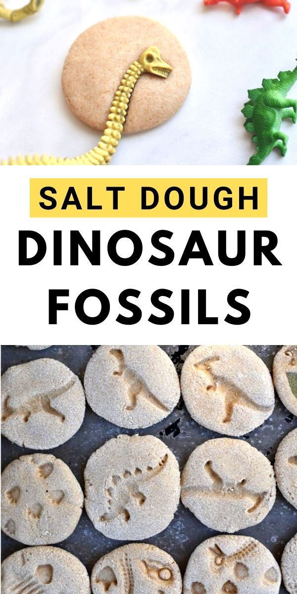 Salt Dough Dinosaur Fossils Kids Craft Images