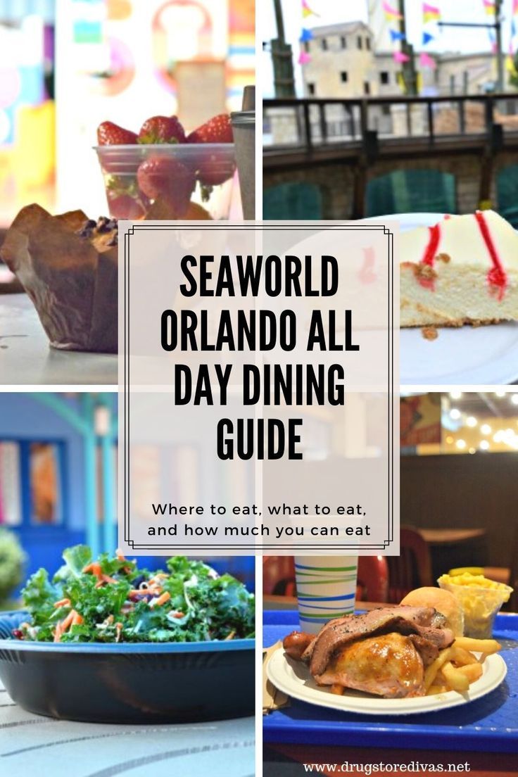 SeaWorld Orlando All Day Dining Guide